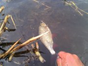 IMG_20130512_085933.jpg