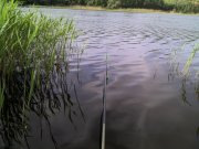 IMG_20130512_074150.jpg