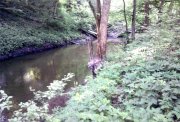foto1.jpg