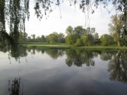 IMG_0222.jpg