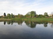 IMG_0224.jpg
