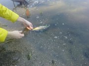 10052013404.jpg