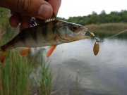 DSC01091.JPG