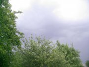 PIC_0196.JPG