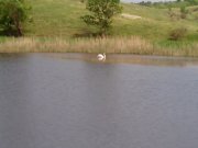 IMG_20130517_120328.jpg