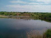 IMG_20130517_120337.jpg