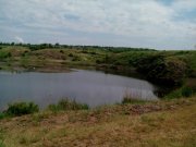 IMG_20130517_121046.jpg