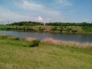 IMG_20130517_121057.jpg