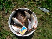IMG_20130517_132241.jpg