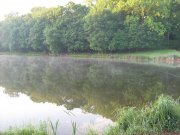 IMG_1639.JPG