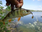 DSC01116.JPG