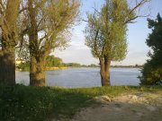 190520133886.jpg