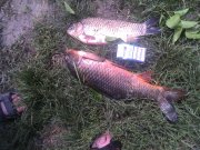 IMG_20130519_125314.jpg