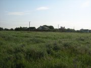 IMG_1669.JPG