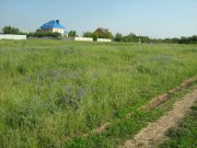 IMG_1670.JPG
