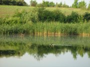 IMG_1656.JPG
