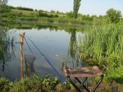 IMG_1657.JPG