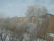 IMG_0736.JPG