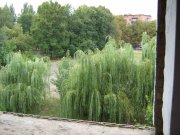 IMG_0439.JPG