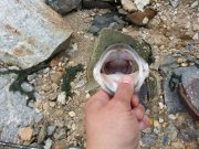 20130518_083906.jpg
