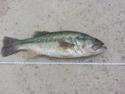 20130518_135729.jpg
