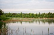 20130518_Fishing_Shchekychyn_006[1].jpg