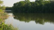 IMG_1630.jpg