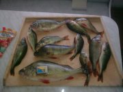 Зображення0941.jpg