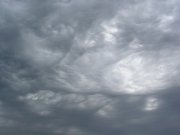P5170214.JPG
