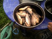 IMG_20130525_154729.jpg