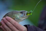IMG_8758.jpg