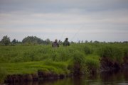 IMG_8759.jpg