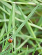 IMG_9163.jpg