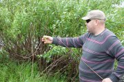 IMG_9156.jpg