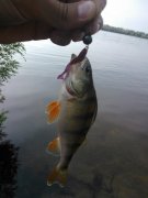 WP_000764.jpg