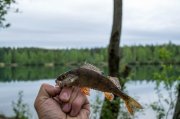 DSC_0009.jpg