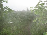 IMG_1710.JPG