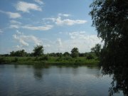 IMG_1746.JPG