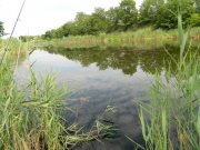 DSCN3451.JPG