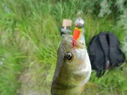 DSCN3458.JPG