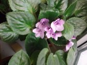 DSCF5627.JPG