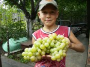 Изображение 070.jpg
