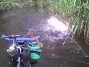 IMG_20130602_122355.jpg