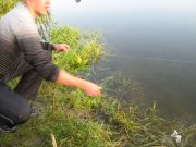 IMG_1761.JPG