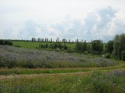 IMG_1785.JPG