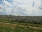 IMG_1786.JPG