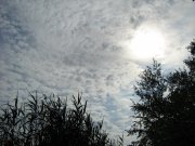 IMG_1772.JPG
