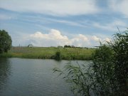 IMG_1778.JPG