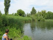 IMG_1779.JPG