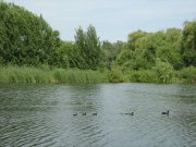 IMG_1781.JPG